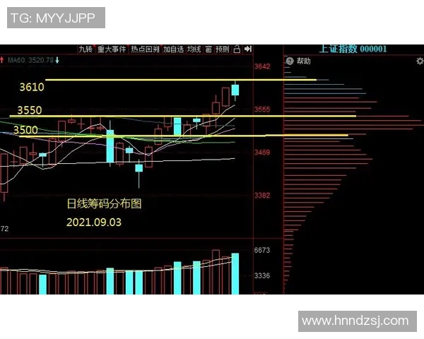 深圳篮球队的节奏革新探索与未来发展路径分析 深圳篮球队的节奏革新探索与未来发展路径分析